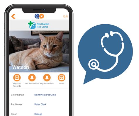 betvet app login